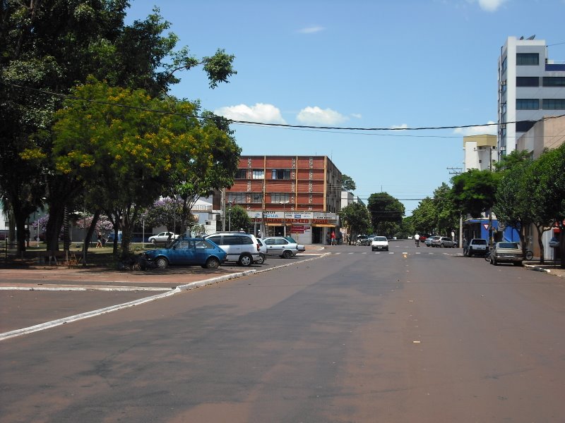 Vista de Palotina